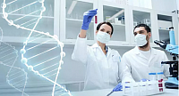 Creative Biolabs