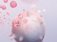 exosome