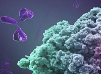 immunotherapy
